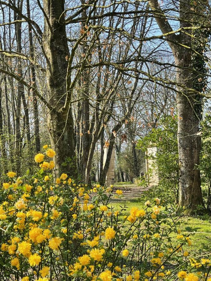 Bed and Breakfast Domaine De Fresnoy Loison-sur-Crequoise Екстер'єр фото